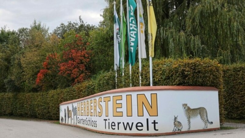 Tierwelt Herberstein (Bild: Christian Jauschowetz)