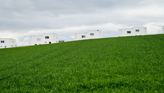 Manchmal ist es offenbar schwer zu sagen, wo das Grünland aufhört und das Bauland beginnt. Wenn dann jemand drüberbaut, kommen die Probleme. (Bild: Wenzel Markus)