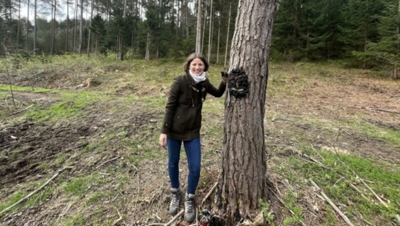 Kindergartenpädagogin Christine Gerold öffnet im September in Leibsdorf ihren Waldgarten Herzalzeit. (Bild: Elisabeth Nachbar)