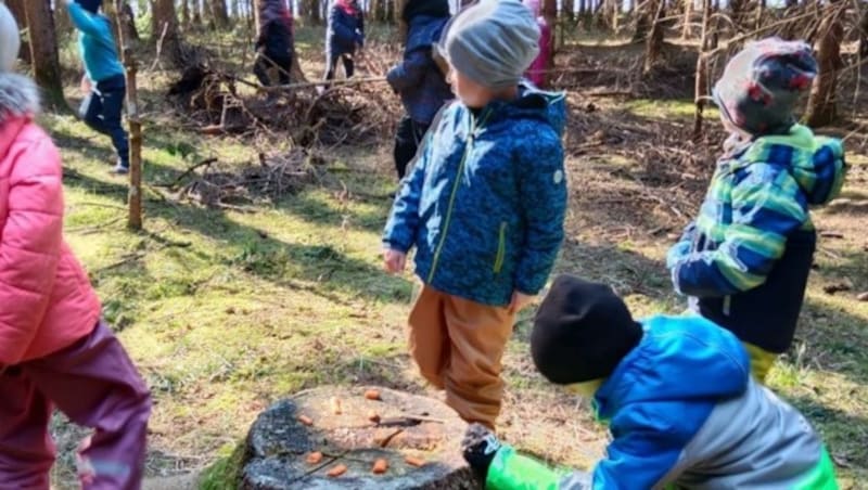 Parallel zu den Regelkindergärten entstehen Einrichtungen, die neue Wege gehen wollen und sich großer Beliebtheit erfreuen. (Bild: Herzalzeit)