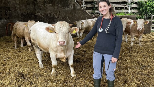 Immer mehr Tierärzte setzen auf Gemeinschaftspraxen. (Bild: Elisa Aschbacher)