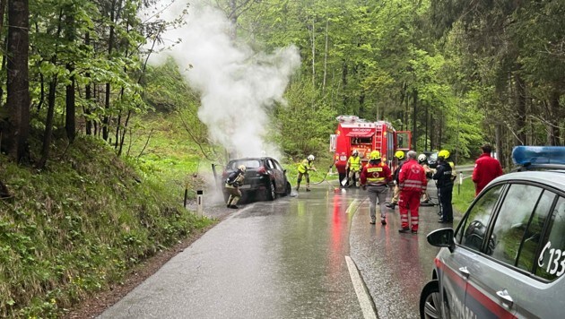 (Bild: zoom.tirol) (Bild: zoom.tirol)