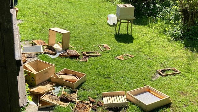 Diese Bienenstöcke wurden vom Bären geplündert. (Bild: LPD Kärnten)