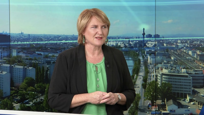 Helga Krismer von den Grünen. (Bild: krone.tv)