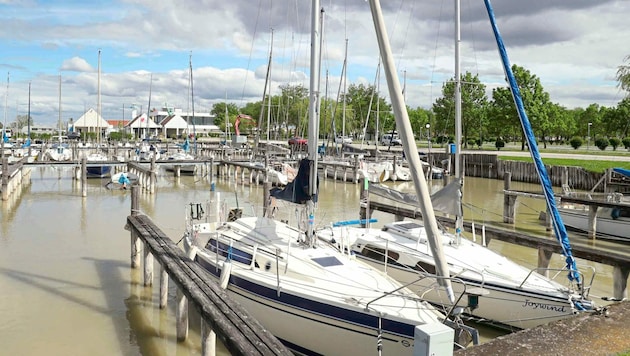 Die Reihen hatten sich gelichtet, im Hafen in Mörbisch füllen sie sich langsam wieder mit Segelbooten. (Bild: Judt Reinhard)