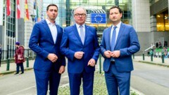 EU-Abgeordneter Alexander Bernhuber, NÖ Bauernbundobmann LH-Stv. Stephan Pernkopf und NÖ Bauernbunddirektor Paul Nemecek zeigen sich vom „Bauern-Manifest“ überzeugt. (Bild: Imre Antal)
