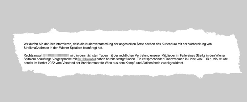 Ein Ausschnitt des Mails an die angestellten Ärztinnen und Ärzte. (Bild: zVg, Krone KREATIV)