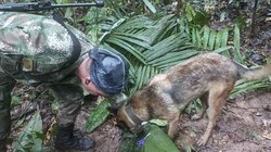 Suche nach den Kindern im Regenwald (Bild: AFP)