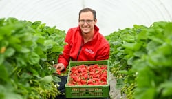 „Kunden zahlen für frische regionale Früchte gerne etwas mehr“, weiß Lukas Lehner, Lehner-Erdbeeren. (Bild: Dostal Harald)