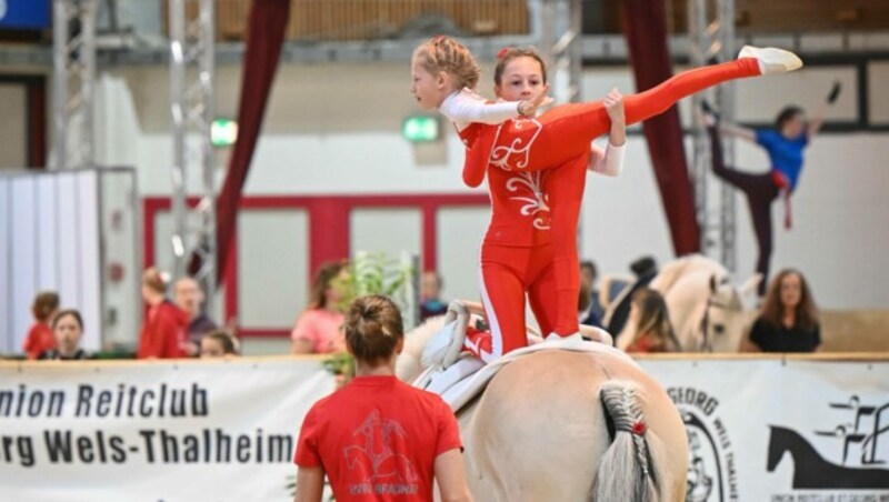 Viele junge Talente zeigen auch heuer wieder bei „Pferd Wels“ ihre gewagten Figuren (Bild: Markus Wenzel)