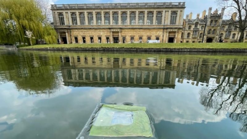 Das Blatt bei der Universität Cambridge (Bild: Virgil Andrei/APA)