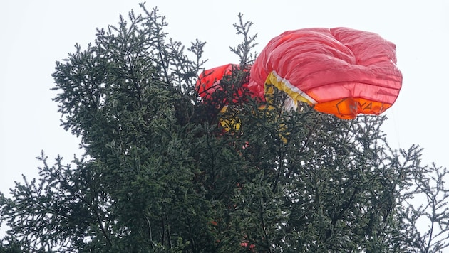 Der Pilot landete an einem Baum. (Symbolbild) (Bild: zoom.tirol)