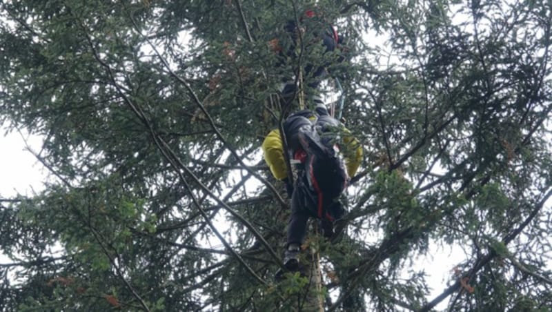 Die Bergung des Schirms war eine Herausforderung (Bild: zoom.tirol)