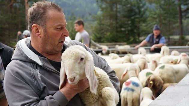 „Unsere Schafe sind kein Wolfs-Futter!“, sagt Schafbauer Eugen Barbist. (Bild: ZOOM.TIROL)