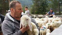 „Unsere Schafe sind kein Wolfs-Futter!“, sagt Schafbauer Eugen Barbist. (Bild: ZOOM.TIROL)
