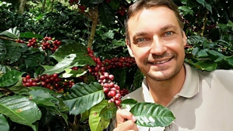 Ulrich Salamun produziert auf seinen Fincas rund 250 Tonnen Rohkaffee im Jahr. (Bild: Filius Caffe)