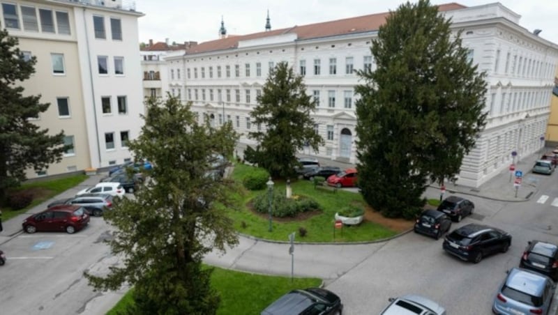 Hafnerplatz: Natur pur mit Insektenoase und Obstgarten zum Naschen. (Bild: Attila Molnar)