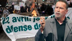 Brisant: Hollywoodstar Arnold Schwarzenegger zeigt Verständnis für radikale Klimaproteste. (Bild: APA, AFP, Krone KREATIV)