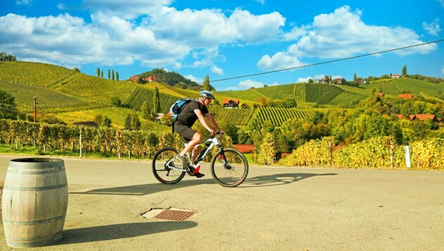 Ob hügelige Weingegend oder obersteirische Berge - die Steiermark ist ein E-Bike-Paradies. (Bild: Sepp Pail)