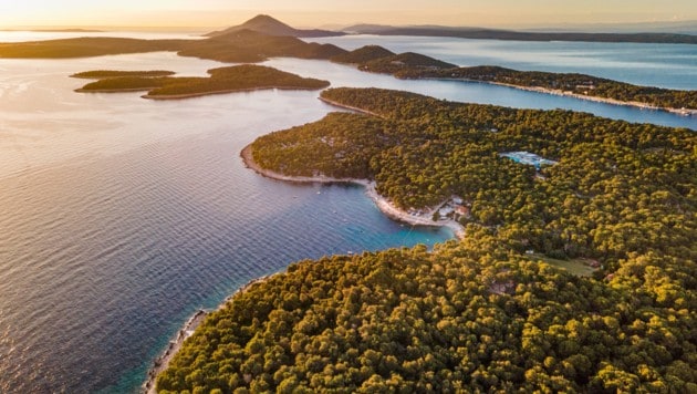 Die Insel Losinj liegt südwestlich von der Insel Cres am Anfang der Kvarner Bucht. (Bild: Sandro Tariba)