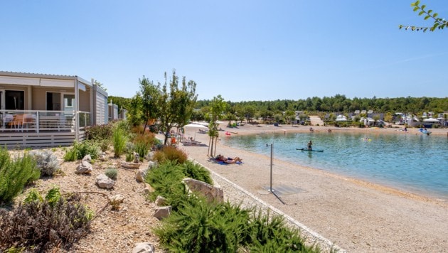 Der Campingplatz Omišalj befindet sich direkt am Meer unweit der Stadt Omišalj. (Bild: Studio Saršon Hadria)