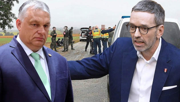Die politische Freundschaft zwischen Ungarns Regierungschef Viktor Orbán und FPÖ-Chef Herbert Kickl hat wegen der Schlepper-Freilassungen erste Rissen bekommen. (Bild: AP APA Patrick Huber, Krone KREATIV)