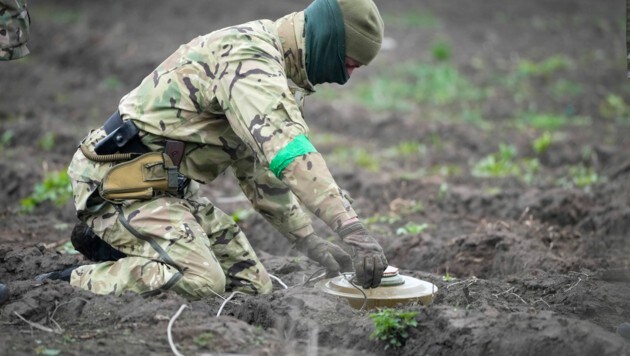 Verteidigungsministerin Tanner: Österreich schickt keine Soldaten zur Entminung in die Ukraine. (Bild: AP Photo/Efrem Lukatsky, File)