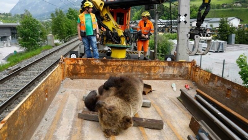 Trotz der Bergung mittels Zug kam es auf der Bahnstrecke zu keinen Einschränkungen oder Verzögerungen. Am Dienstag war noch nicht klar, welcher Zug genau den Bären erwischt und somit getötet hat. (Bild: Gerhard Schiel)