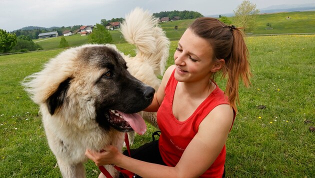 Inzwischen wird der Hund auf Gut Aiderbichl versorgt. (Bild: Tschepp Markus)