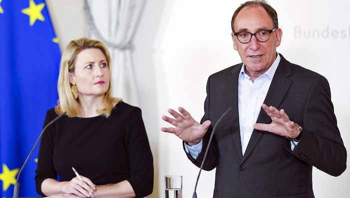 Federführend an der Reform beteiligt: Gesundheitsminister Rauch, Familienministerin Raab