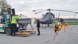Con el helicóptero se intenta combatir las plagas voladoras ya en estado larvario.  Pero estos suelen ser más rápidos, y en la mayoría... (Imagen: mta-gelsen.at, stock.adobe.com, Krone KREATIV)