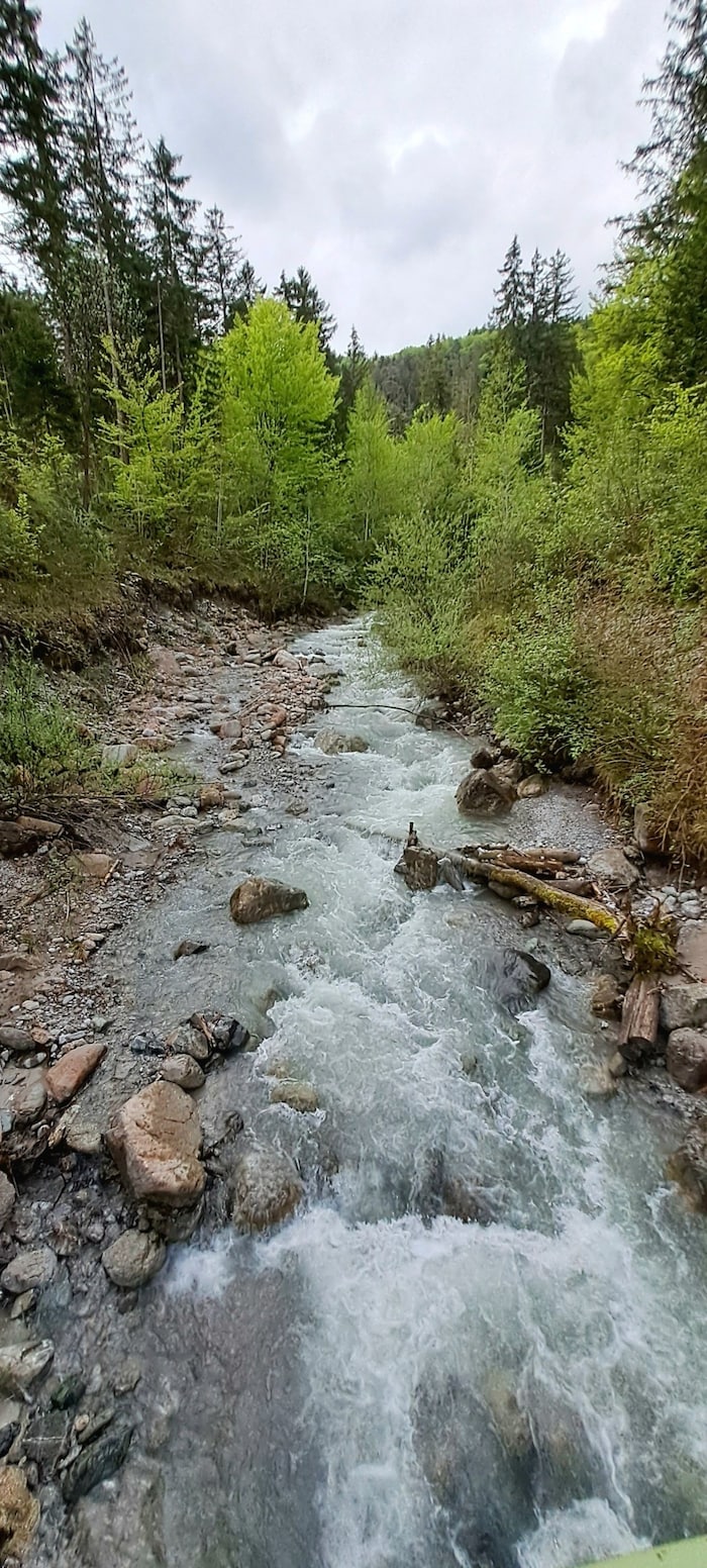 Erst die Bändigung des Galinabachs hat die Entstehung eines Waldgebietes ermöglicht.
