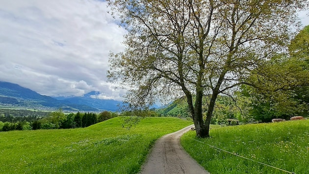 Wer Erholung sucht, ist in dem Gebiet rund um den Galinawald bestens aufgehoben.