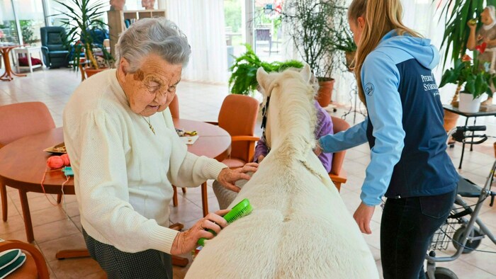 Frau S. macht besonders das Bürsten des schönen weißen Fells Freude.