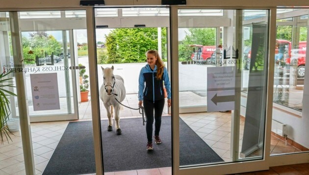 Selina Scheichl besucht mit „Jolly Jumper“ regelmäßig nicht nur die Bewohner der Seniorenresidenz Schloss Kahlsperg. (Bild: Markus Tschepp)