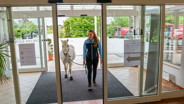 Selina Scheichl besucht mit „Jolly Jumper“ regelmäßig nicht nur die Bewohner der Seniorenresidenz Schloss Kahlsperg. (Bild: Markus Tschepp)