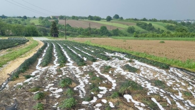 Was aussieht wie Schneehaufen, sind Hagelkörner. (Bild: Michael Habeler)