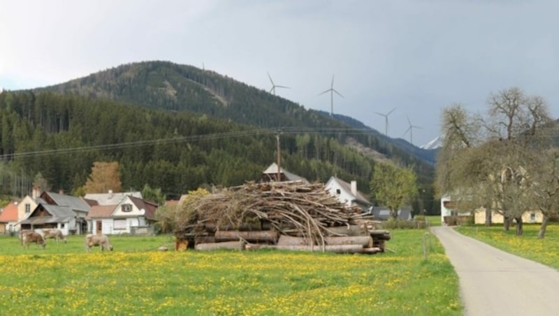 So soll laut Verbund der geplante Windpark aussehen - Gegner kritisieren solche Darstellungen, auf denen Windräder nur klein zu sehen sind. (Bild: Verbund)