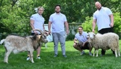 Die Vikings-Profis Karri Pajarinen, Matthew Daltrey, Radim Kalous und Matthias Stockamp beim Fotoshooting mit Ziege „Bocki“ und Schaf „Gertrude“ (Bild: BRIGITTE GRADWOHL)