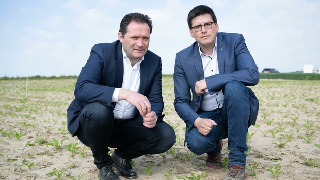 Minister Totschnig (li.) mit Kammer-Vize Lorenz Mayr auf einem seiner betroffenen Felder. (Bild: Rene Hemerka)