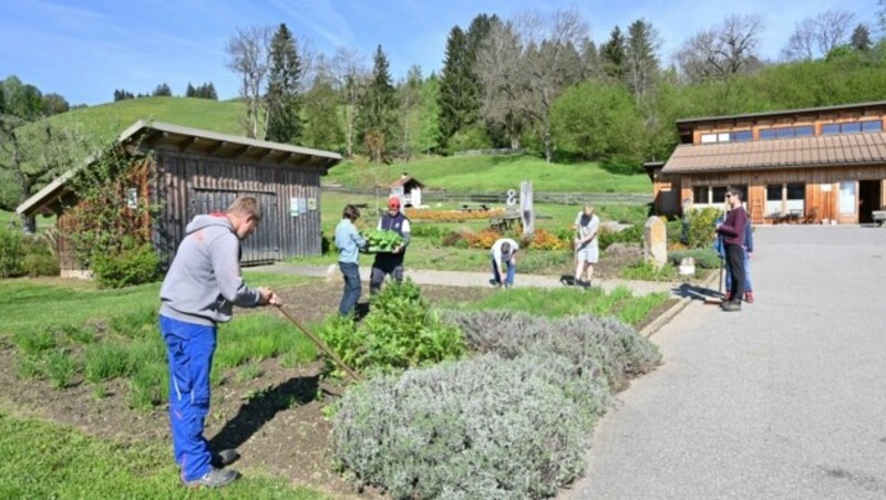 Jäten, umstechen, pflanzen: Im Frühling wird am Gartenhof gegartelt. (Bild: Hronek Eveline)