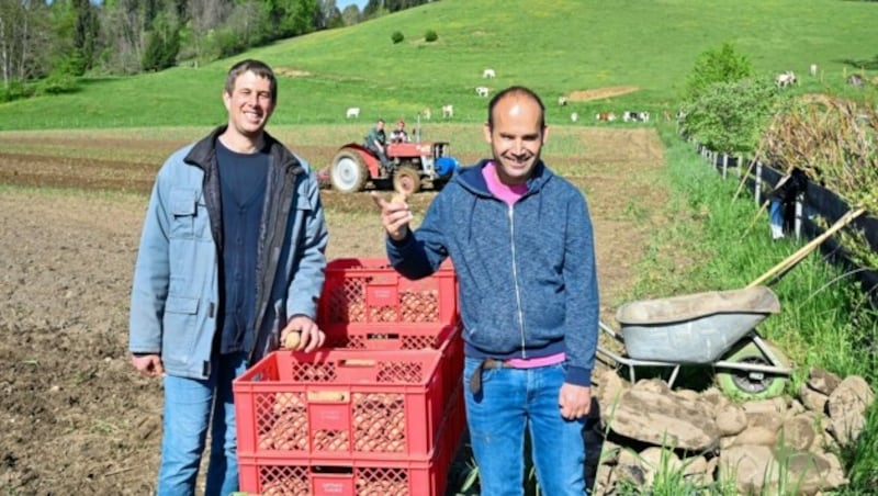 Die Äcker wurden schon vorbereitet, um beispielsweise Kartoffel zu setzen. (Bild: EVELYN HRONEK)