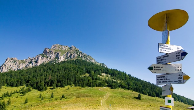 Die Kleine Fatra ist ein Gebirge im Nordwesten der Slowakei und eine der bedeutendsten Tourismusregionen des Landes. (Bild: stock.adobe.com)