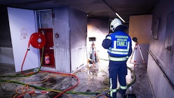 Insgesamt waren 173 Einsatzkräfte vor Ort, um das Feuer zu löschen. (Bild: Pressestelle BFK Mödling / Mathias Seyfert)