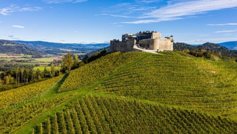 Burg Taggenbrunn (Bild: Franz Gerdl)