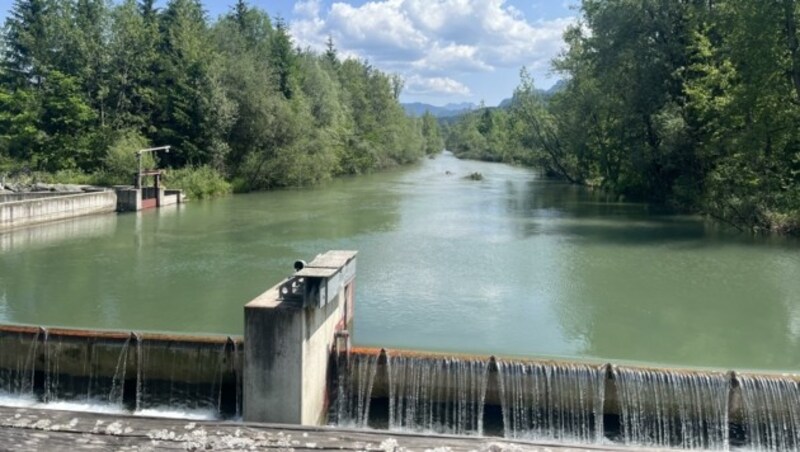 Einen idyllischen Ausblick bietet auch die Vellach-Mündung bei Gallizien. (Bild: Schwab Alexander)