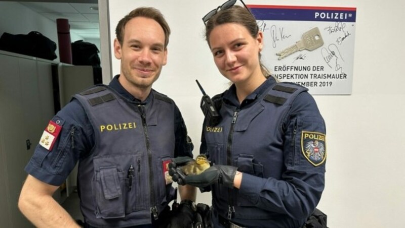 Die Polizisten freuen sich über den geglückten Einsatz. (Bild: LPD NÖ)