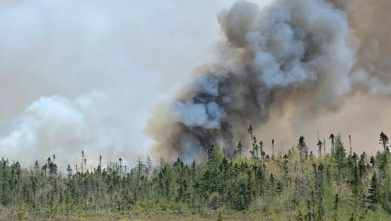 Dichter Rauch steigt über Shelburne County in Nova Scotia auf. (Bild: AFP )