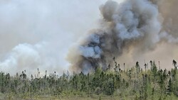 Dichter Rauch steigt über Shelburne County in der Provinz Nova Scotia auf. (Bild: AFP )