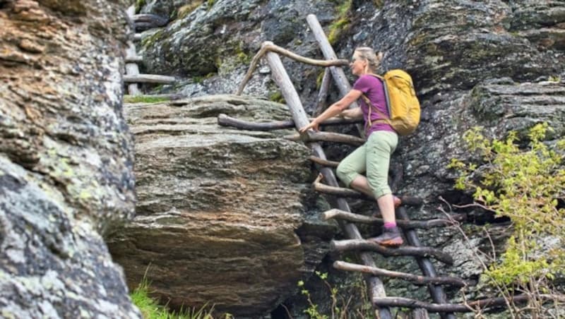 1473 Meter geht es hinauf: über Leitern, durch den Wald und Wiesen (Bild: Weges)